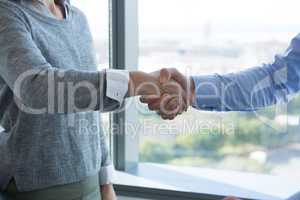 Male executive and female executive shaking hands with each other