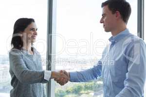 Male executive and female executive shaking hands with each other