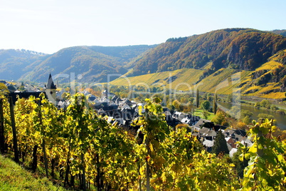 Burg an der Mosel