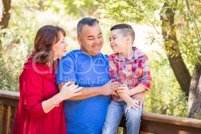 Mixed Race Caucasian and Hispanic Family At The Park. Mixed Race Caucasian and Hispanic Family At The Park.