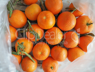 tangerine fruit food