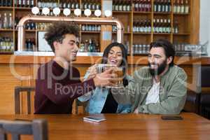 Friends toasting glass of beer in bar