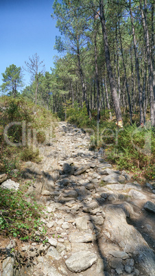 Jakobsweg zwischen Ponte de Lima und Valenca, Portugal