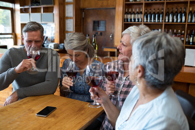 Group of senior friends having red wine