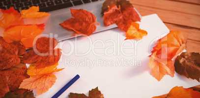 Close up of autumn leaves with paper by laptop