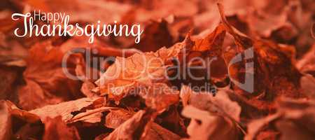 Composite image of thanksgiving greeting text