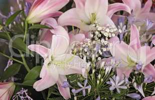 The flowers are pink lilies close-up.
