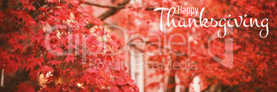 Composite image of illustration of happy thanksgiving day text greeting