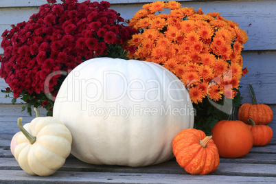 Thanksgiving, Fall (Autumn), Harvest symbols