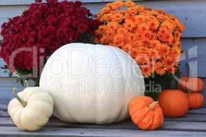 Thanksgiving, Fall (Autumn), Harvest symbols