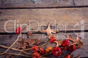 Dry leaves, branches and mistletoe on wooden plank