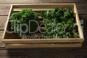 Fresh kale in wooden crate on table