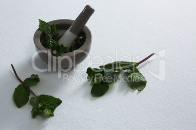 Holy basil in mortar pestle