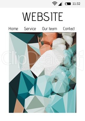 Website phone interface