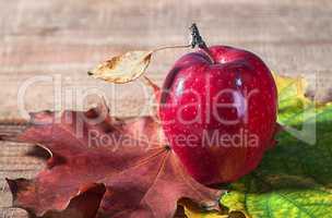 Apple and autumn leaves