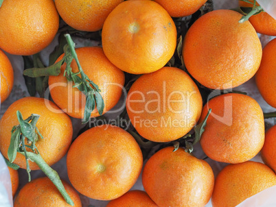 tangerine fruit food