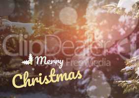 merry Christmas text on snow background, bokeh