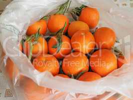 tangerine fruit food