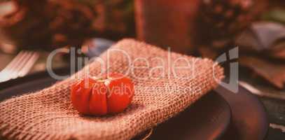 Close up of tomato on burlap in plate