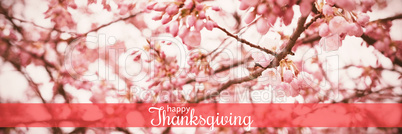 Composite image of digital generated image of thanksgiving greeting