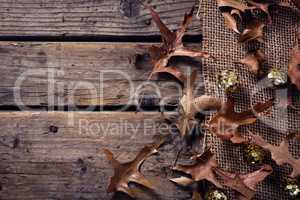 Sequin balls and dry leaves on wooden plank