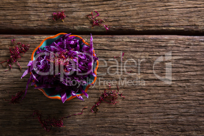 Chopped purple cabbage in bowl