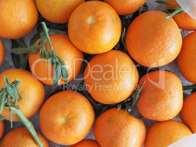 tangerine fruit food