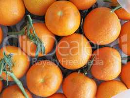 tangerine fruit food