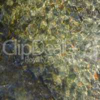 Clear sweet fresh water surface background