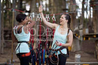 Two female friends giving high five to each other after completing zip line