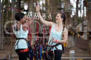 Two female friends giving high five to each other after completing zip line
