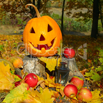 pumpkin-head against of an autumn forest