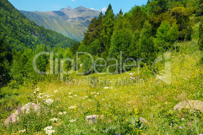 scenic mountains, meadows and blue sky