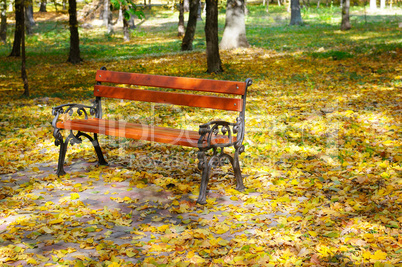 beautiful autumn park and benche