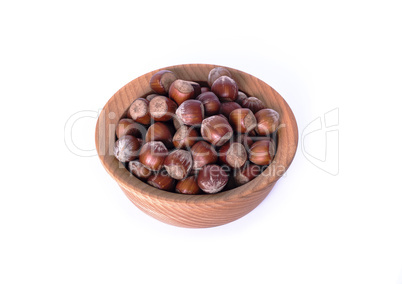 hazelnut, roasted, background, white, shell, nut, nature, filber