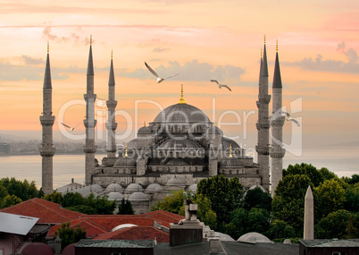 Blue Mosque and Bosphorus