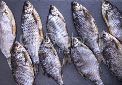 dried fish scam with scales on a black background