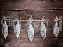 five dried salted fish ram hang on a rope