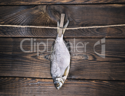 dried salted fish ram is hanging on a rope
