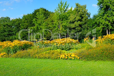 summer park with beautiful flowerbeds