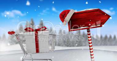 Gift in shopping trolley and Wooden signpost in Christmas Winter landscape and Santa hat
