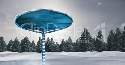 Wooden signpost in Christmas Winter landscape