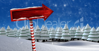 Wooden signpost in Christmas Winter landscape