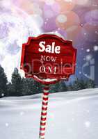 Sale now on text on Wooden signpost in Christmas Winter landscape