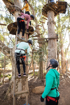 Friends climbing on tree with stairs