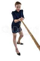 Female executive pulling the rope against white background