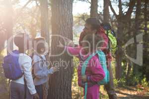 Teacher and kids examining tree trunk