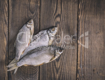 Three roach fish with scales