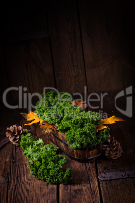 Kale Brassica oleracea