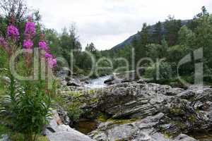 Fluss Rauma, Oppland, Norwegen